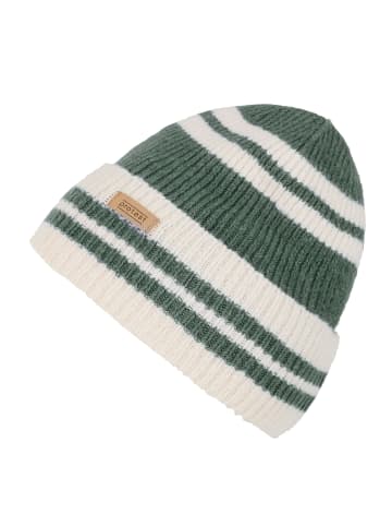 Protest " PRTGITTY in Evergreen