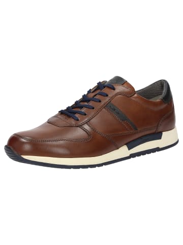 Sioux Sneaker Rojaro-700 in cognac