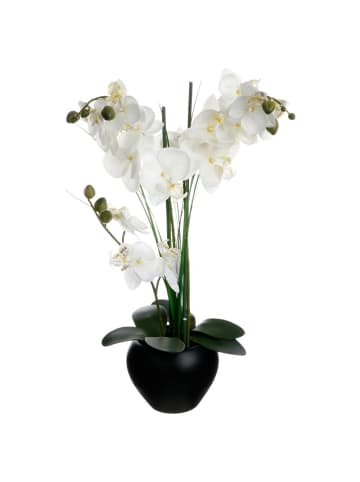 Atmosphera Créateur d'intérieur Kunstblume Orchidee in schwarz