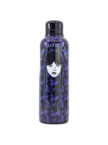 Wednesday Isolierte Edelstahl Trinkflasche Thermotrinkflasche 515ml
