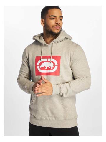 Ecko Kapuzenpullover in grey