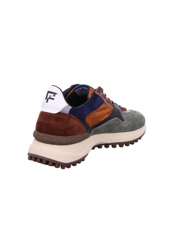 Floris van Bommel Schnürschuh in grün