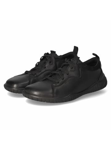 Josef Seibel Schnürhalbschuh in schwarz