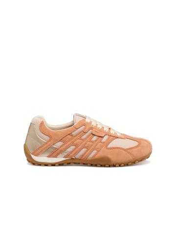 Geox Sneaker in orange