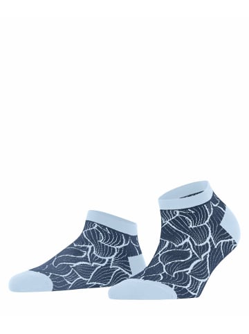 Falke Sneakersocken Stencil in Night blue