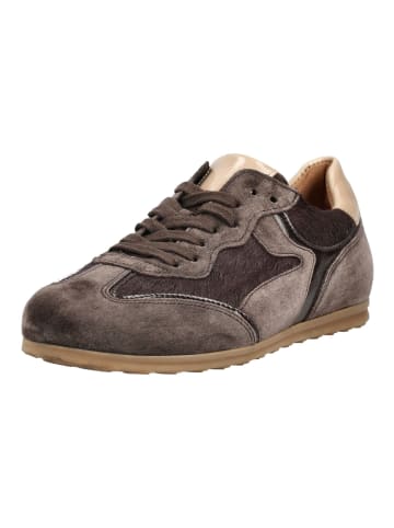 Gabor Sneaker in Mocca