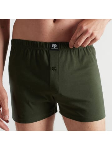CECEBA Baumwolle, Single-Jersey Bio Boxershorts 2er-Pack in grün/schwarz