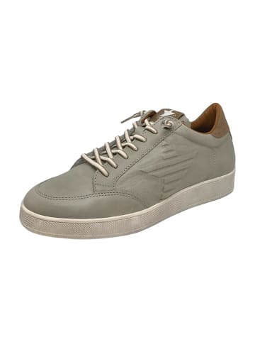 Cetti Sneaker Low in Beige