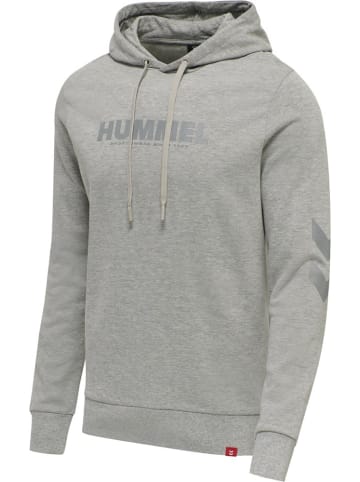 Hummel Hoodie in Grau
