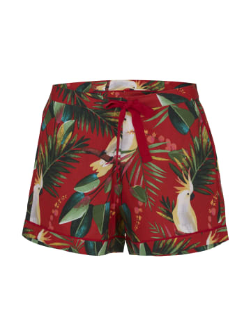 Cyberjammies Tara Nachtwäsche in rot