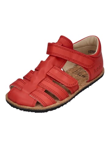 KOEL Sandalen ARIN NAPPA  in rot