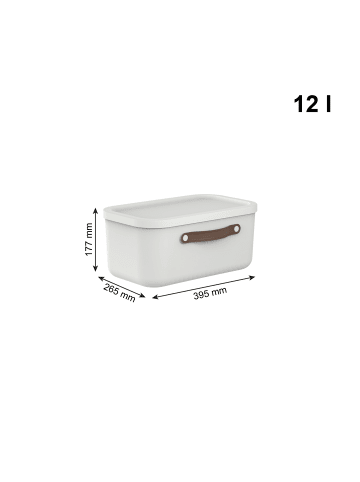 Rotho 2er-Set Kiste mit Deckel Maloja 12l in Mistletoe weiß