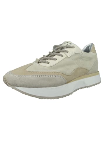 MJUS Schnürschuhe in creme