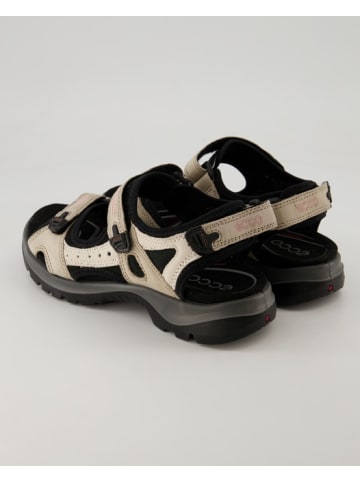 Ecco Sandalen in Beige