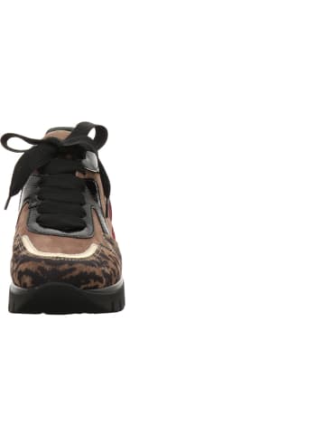 Semler Schnürschuh in braun