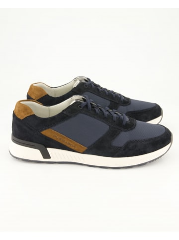 Pius Gabor Sneaker low in Blau