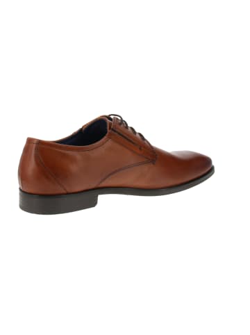 Bugatti Schnuerschuhe Savio Evo  in Braun