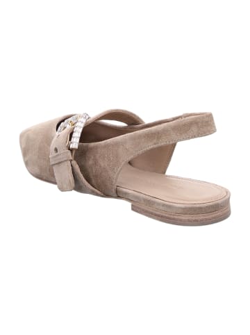 Kennel & Schmenger Ballerinas in Beige