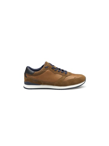 LLOYD SWIFT SWIFT in COGNAC