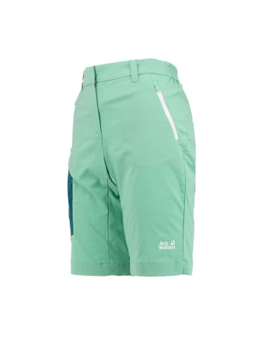 Jack Wolfskin Hose Overland Softshell Shorts in Grün