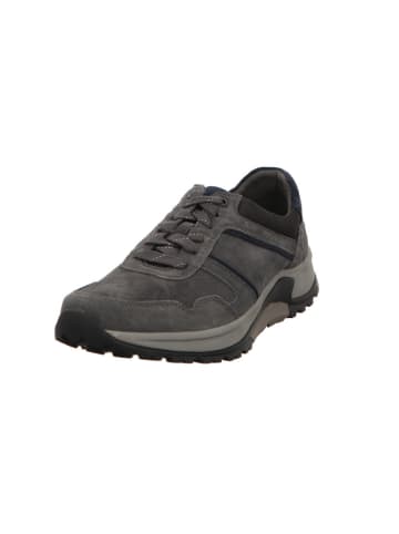 Pius Gabor Sneaker in grau