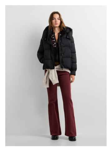 Pepe Jeans Jacke in bunt