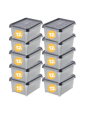 SmartStore 10er-Set Aufbewahrungsbox Dry Anthrazit 13L