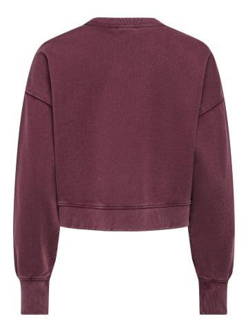ONLY Sweatshirt in Fig