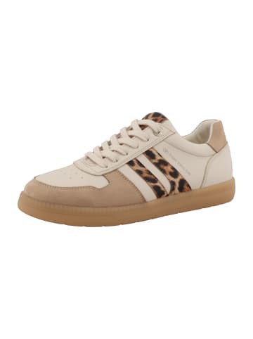 Tom Tailor Sneaker in beige