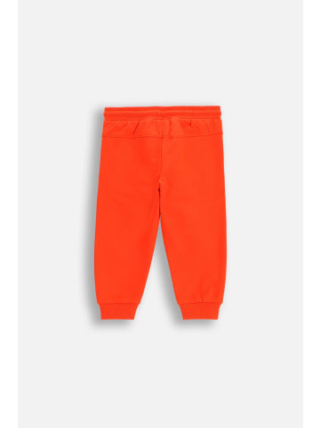 Coccodrillo Jogginghose in rot