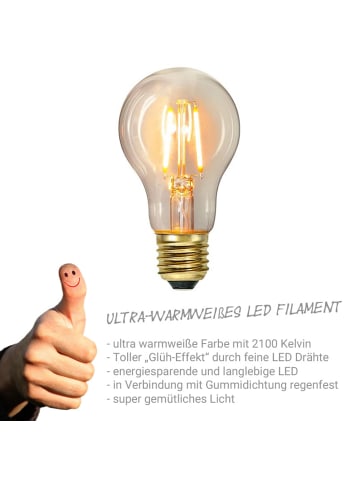 SPICELITE Garten Party Lichterkette Illu 40x LED Edison Filament 40m grün