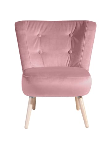 58 aufm Kessel SESSEL Kassi Bezug Samtvelours Buche natur / rosé