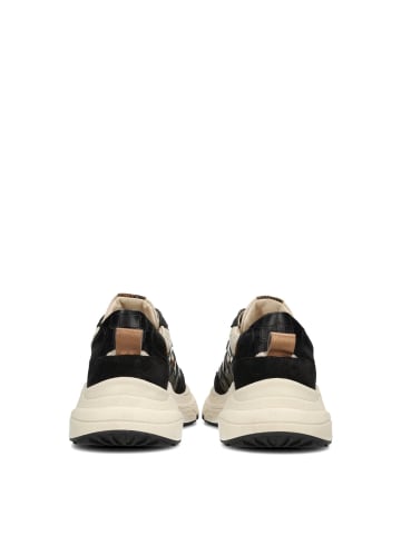 POELMAN Poelman TOKIO Damen Sneaker