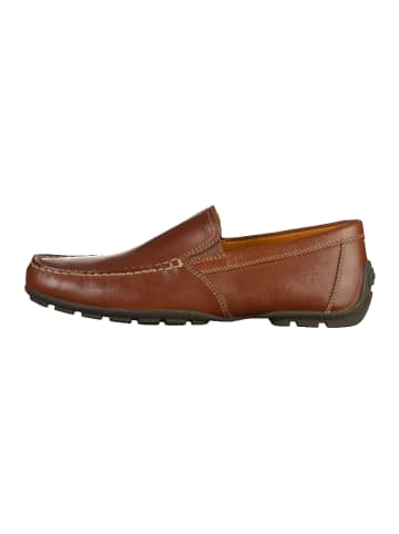 Geox Slipper Coffee