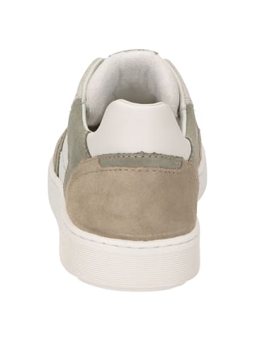 Sioux Sneaker Tedroso-704 in grau