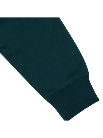 Puma Class Graphic Hoodie mit Fleeceinnenseite in Grün