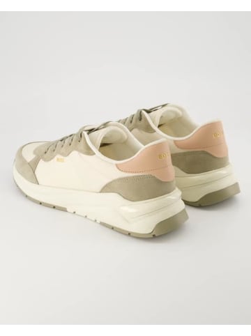 BOSS Sneaker low in Beige