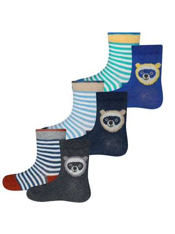 ewers 6er-Set Socken 6er Pack Waschbär/Ringel in anthrazit-tinte-aqua