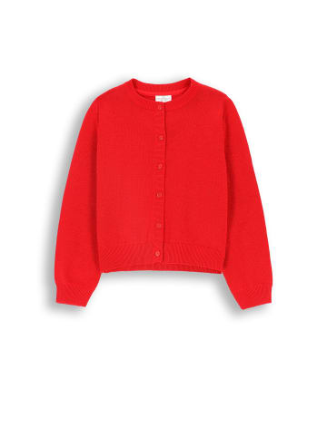 Coccodrillo Pullover mit Reißverschluss in rot