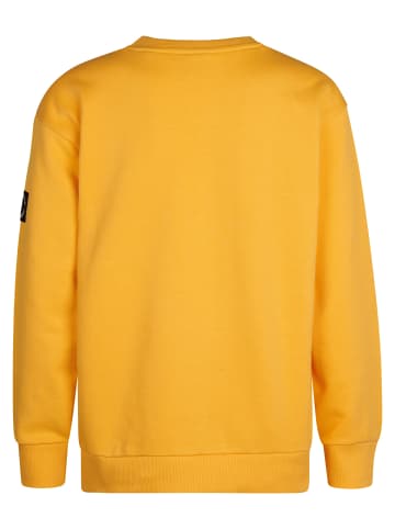 Petrol Industries Grafischer Pullover Allegheny in Gelb