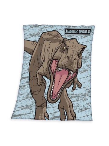 Herding Fleecedecke Jurassic World Dino 130x170cm in Hellblau