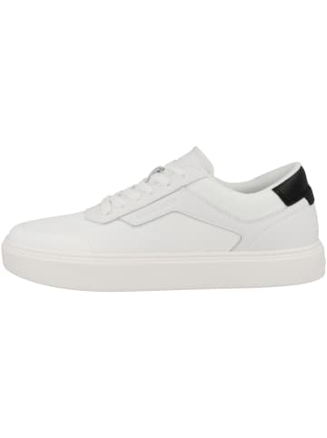 Calvin Klein Sneaker low Low Top Lace Up Knit in weiss