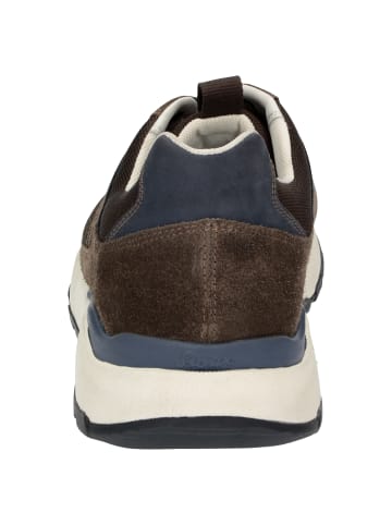Sioux Sneaker Rogerlino-700-H in braun
