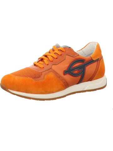 Galizio Torresi Schnürschuhe in orange