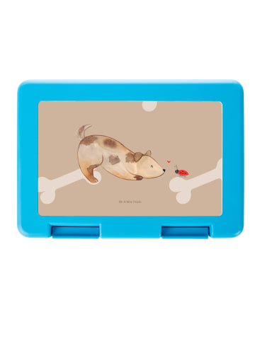 Mr. & Mrs. Panda Bentobox Hund Marienkäfer ohne Spruch in Hundeglück