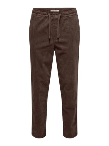 ONLY & SONS Hose in Coffee Bean