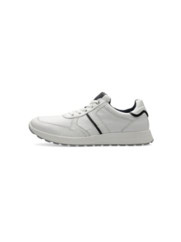 ara Sneaker für Herren in uni