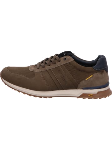 Camel Active Sneaker in grau