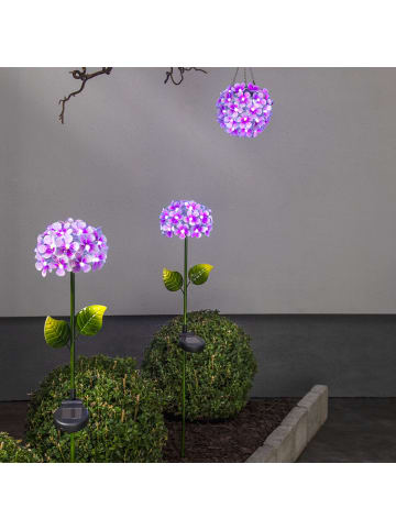 STAR Trading LED Solar Gartenstecker Blume Hortensie in pink - H: 77cm