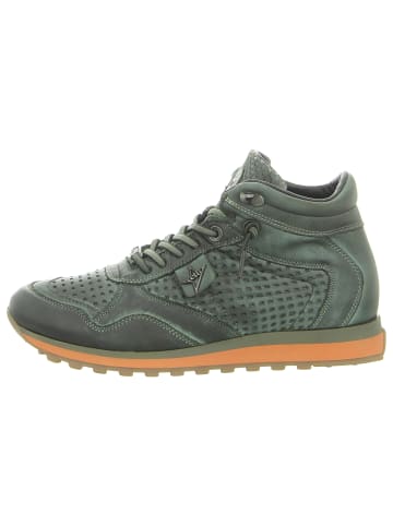 Cetti Sneaker in grün